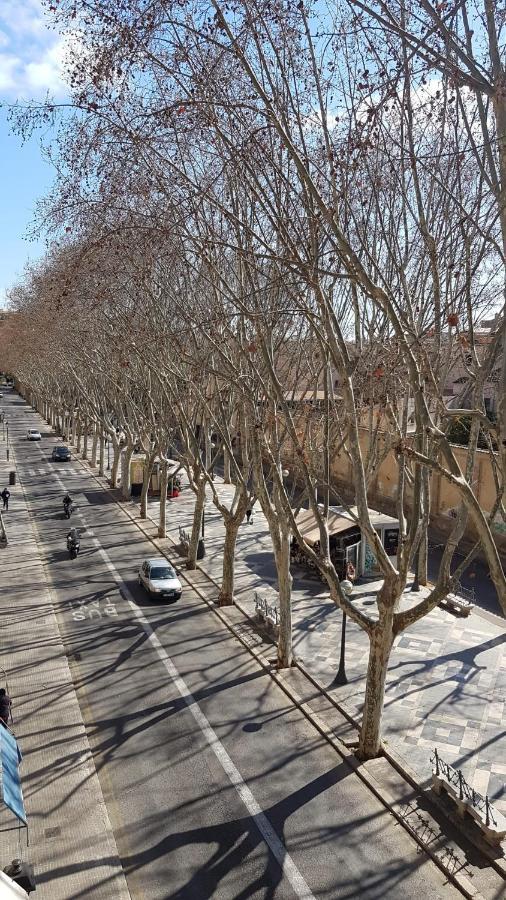 Rambla Palma Center Hotel Екстериор снимка